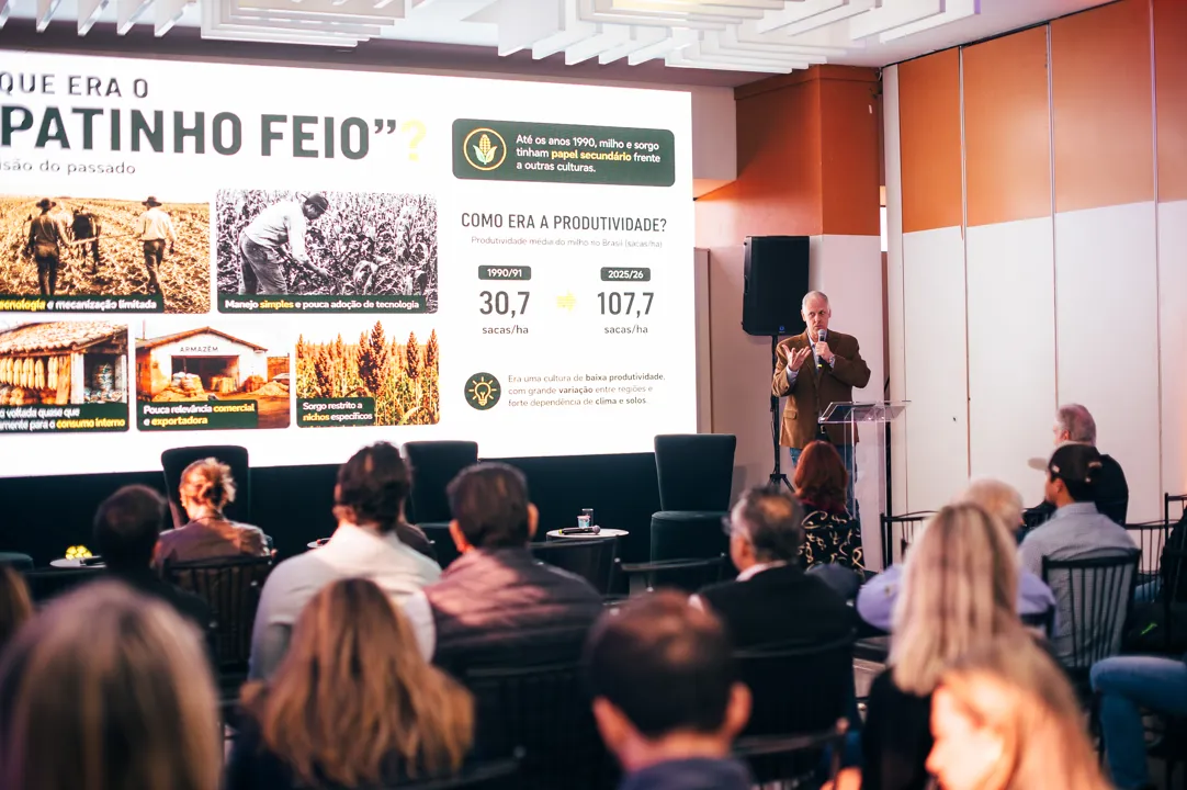 Geração de renda: como milho e sorgo se tornaram estratégicos para o agronegócio brasileiro